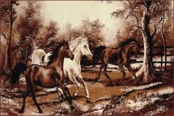 POLSKA MAKATA - GALOP BEŻ - OKAZJA